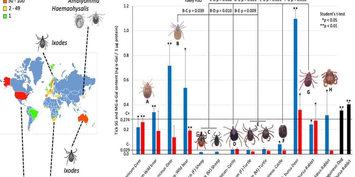 Incidencia-AGS-y-contenido-alfa-gal-Proyecto-BIOGAL
